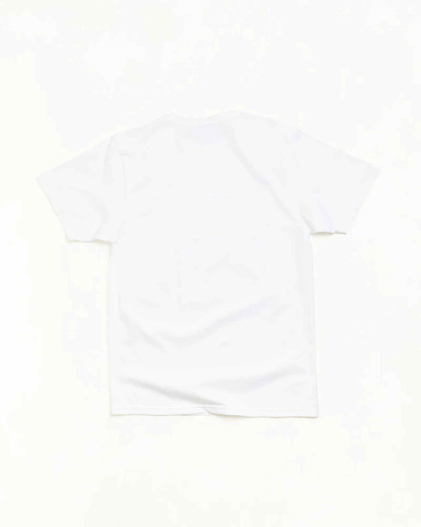 White tee, plain back view